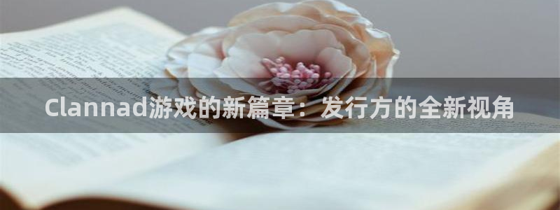 法国新宝GG官网