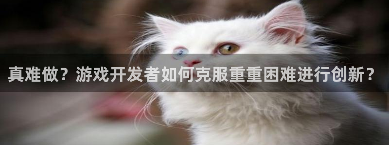 新宝GG官网跑路了吗：真难做？游戏开发者如何克服重重困难进行创新？