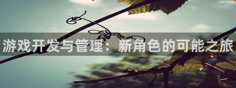 新宝GG官网注册平台官网：游戏开发与管理：新角色的可能之旅