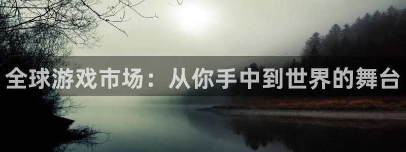 新宝GG官网注册平台怎么注册账号：全球游戏市场：从你手中到世界的舞台