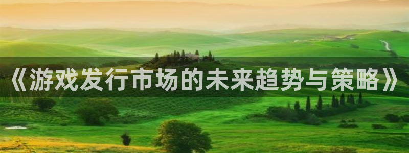 四川新宝GG科技有限公司怎么样：《游戏发行市场的未来趋势与策略》