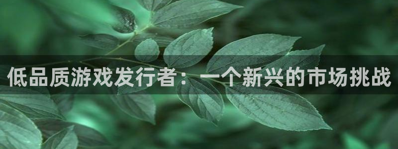 新宝GG官网登录注册账号是什么意思：低品质游戏发行者：一个新兴的市场挑战