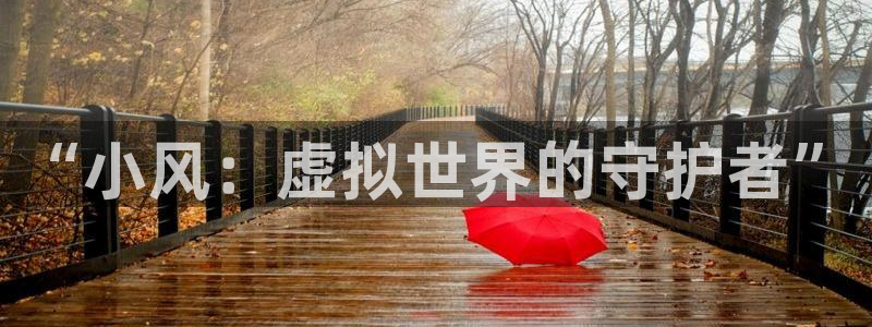 新宝GG子经理人一共出了多少本：“小风：虚拟世界的守护者”