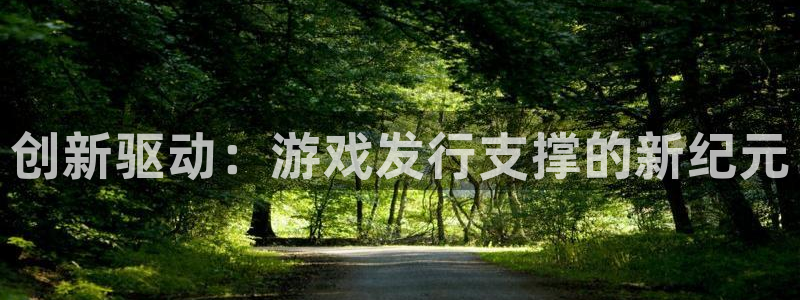 新宝GG子文化：创新驱动：游戏发行支撑的新纪元