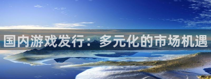 新宝GG电子商务：国内游戏发行：多元化的市场机遇