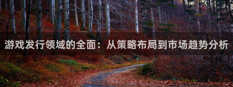 新宝GG技术有限公司官网：游戏发行领域的全面：从策略布局到市场趋势分析