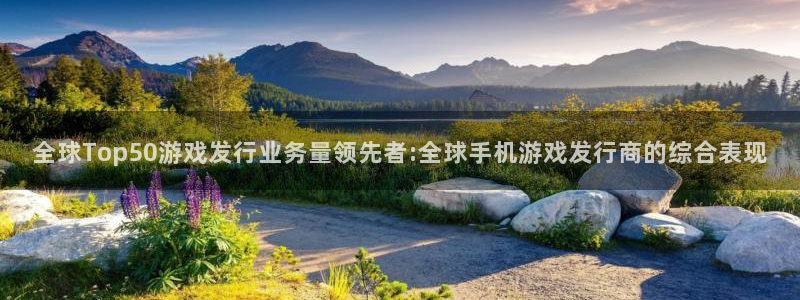 新宝GG子文化创意加好友：全球Top50游戏发行业务量领先者:全球手机游戏发行商的综合表现