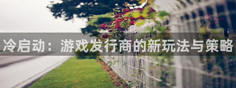 新宝GG官网是什么娱乐?：冷启动：游戏发行商的新玩法与策略