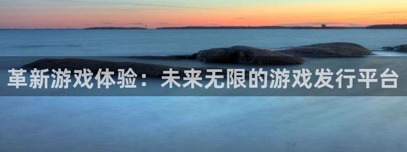 新宝GG官网注册平台怎么样啊：革新游戏体验：未来无限的游戏发行平台
