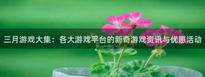 新宝GG仓储中心：三月游戏大集：各大游戏平台的新奇游戏资讯与优惠活动