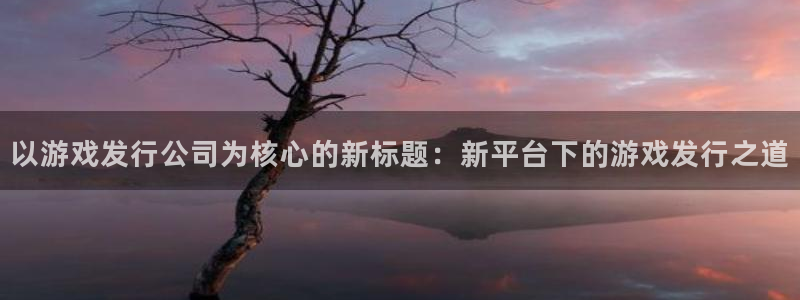 新宝GG是哪个国家的衣服品牌：以游戏发行公司为核心的新标题：新平台下的游戏发行之道