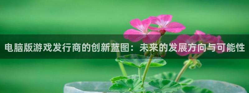 新宝GG官网注册平台是什么软件：电脑版游戏发行商的创新蓝图：未来的发展方向与可能性