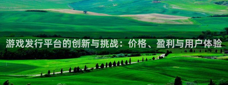 新宝GG电商怎么样可靠吗：游戏发行平台的创新与挑战：价格、盈利与用户体验