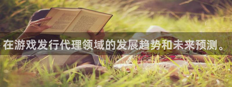 新宝GG电子商务有限公司怎么样