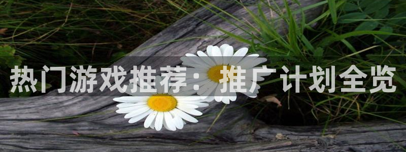 新宝GG官网注册平台怎么注册账号