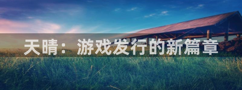 新宝GG干红葡萄酒750毫升多少钱：天晴：游戏发行的新篇章